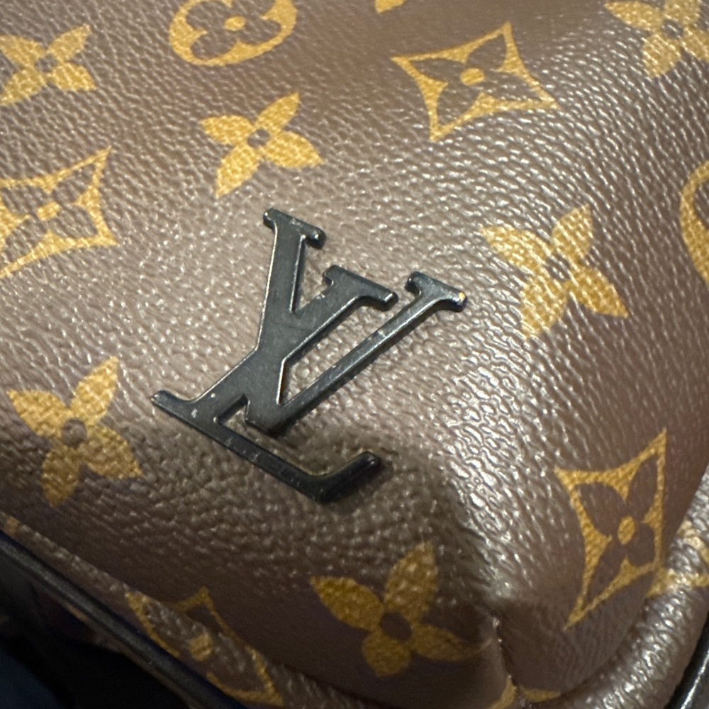 Louis Vuitton Monogram Brown and Gold Sling Bag